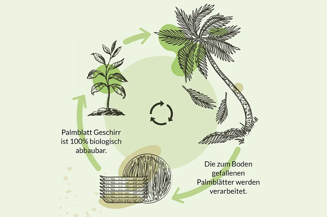 Infografik Verarbeitung von Palmblättern