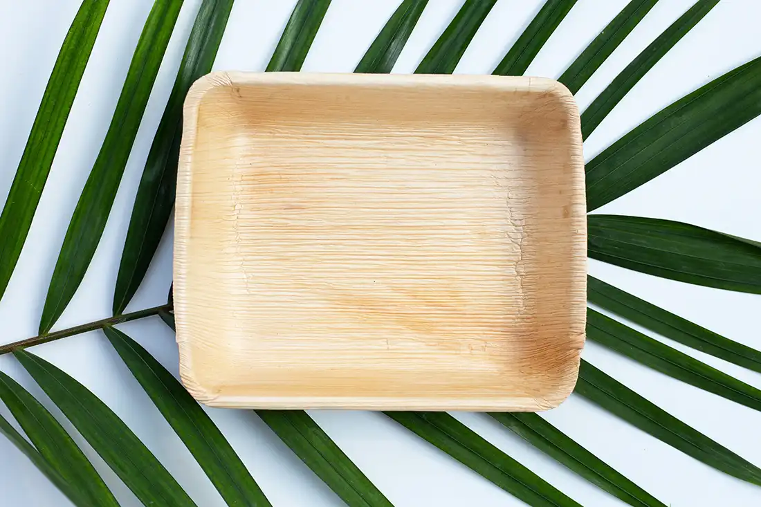 Vaisselle jetable en feuilles de palmier